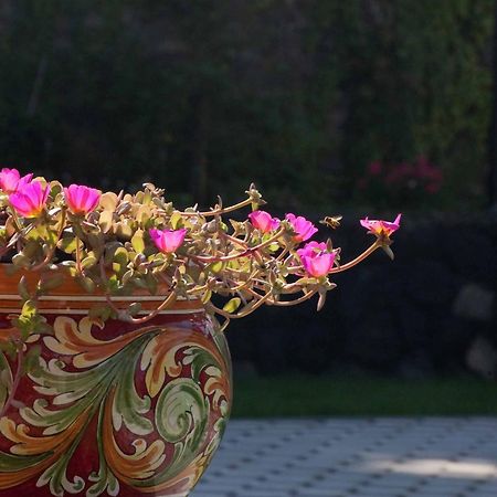 B&B Le Antiche Cisterne Tremestieri Etneo Екстериор снимка